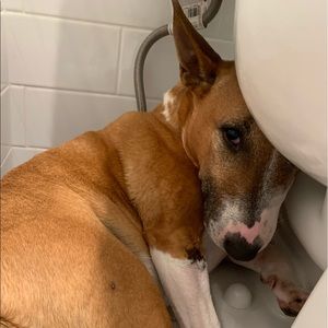 Meet your Posher, Marissa